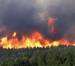 سوختن جنگل در آتش بی تدبیری مسئولان/آتش جنگل های آمل، دل بالگردهای پایتخت را نسوزاند