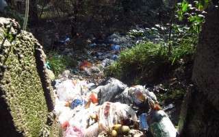 از دریا تا جنگل و شالیزارهای برنج/محل تخلیه زباله های شهری در مازندران