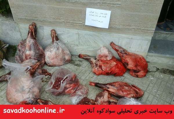 کشف 200 کیلوگرم گوشت خوک در سوادکوه