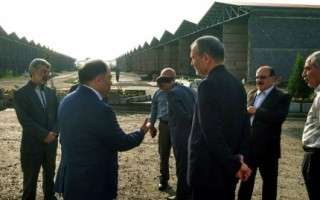 بازدید معاون وزیر جهاد کشاورزی از مرکز بین المللی تجارت برنج ایران در آمل + تصاویر