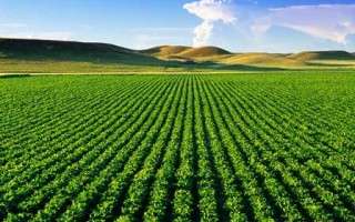 کشت در کشورهای دیگر، فرصتی برای کشاورزی مازندران/ قزاقستان آماده ورود کشاورزی فراسرزمینی ایران