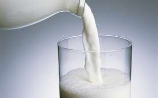 روز جهانی شیر و لزوم توجه به سلامت جامعه