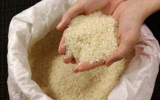 افزایش قیمت برنج در بازار مازندران/ ثبت رکورد 17 هزار تومان در فروش برخی ارقام!