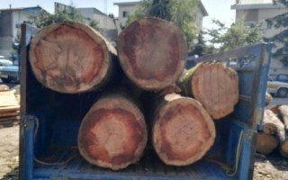 کشف بیش از 7 تن چوب جنگلی قاچاق در آمل