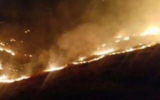 حریق بیش از هزار متر از مراتع لاریجان/ عوامل انسانی آتش‌سوزی دستگیر شدند