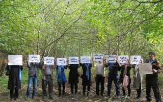 انتقاد از تخریب هزاران هکتار از جنگل‌های شمشاد در شمال کشور