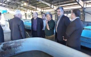 رهاسازی ۳۸۵ میلیون قطعه بچه ماهی برای بازسازی ذخایر آبزیان کشور