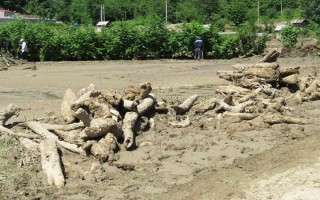 جمع‌بندی خسارت سیل اخیر مازندران برای ارائه به هیأت دولت