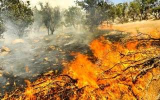 آتش‌سوزی 11 هکتار از اراضی میانکاله طی 2 روز