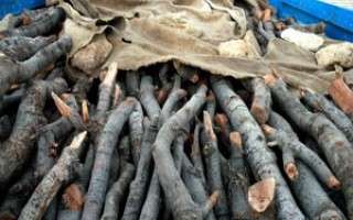 کشف ۷ تن چوب جنگلی قاچاق در قائم‌شهر