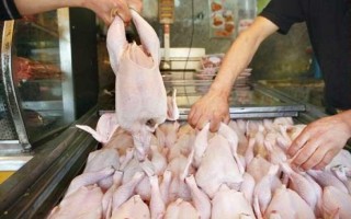 قیمت مرغ به 13500 تومان رسید/توزیع مرغ تنظیم بازاری تأثیری در قیمت بازار نداشت