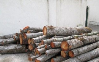 کشف 10 تن چوب آلات جنگلی قاچاق در عباس آباد