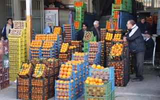 دلبری نوبرانه‌ها روی طبق‌ میوه‌سراهای مازندران/ تازه‌ترین قیمت انواع میوه‌های بهاری