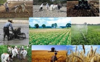 ساز ناکوک تنظیم بازار محصولات کشاورزی