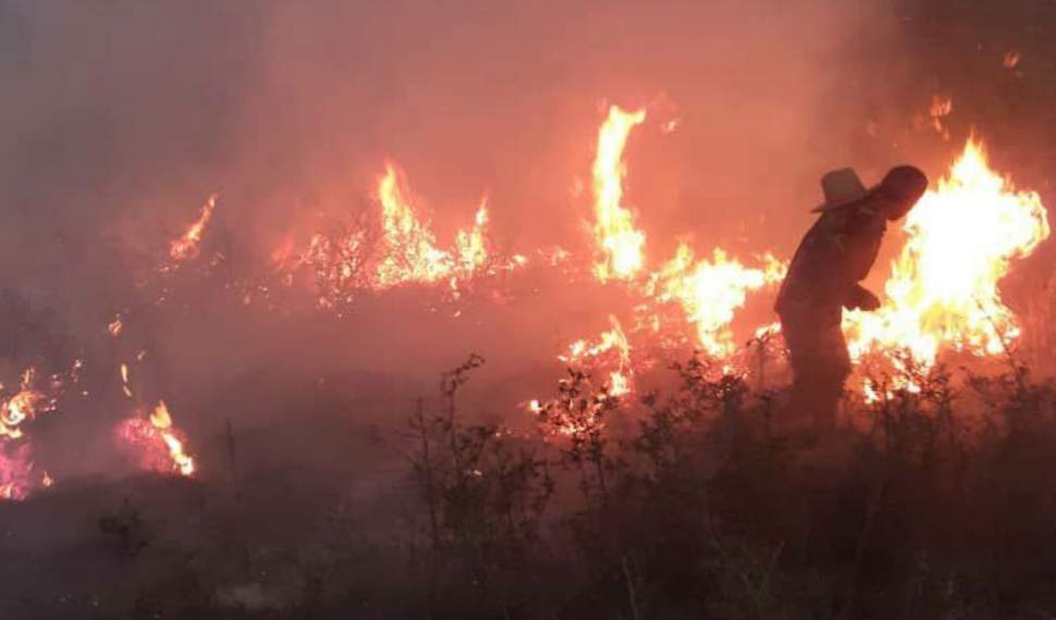 بی‌احتیاطی، چندین هکتار از اراضی جنت‌رودبار را به آتش کشید