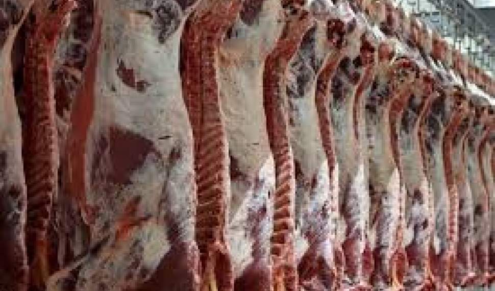 دلالان اجازه کاهش قیمت گوشت قرمز را نمی‌دهند