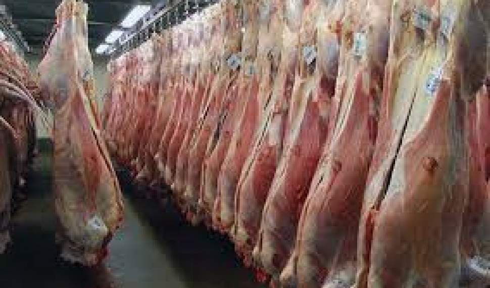 کاهش 4 کیلویی سرانه مصرف گوشت در کشور