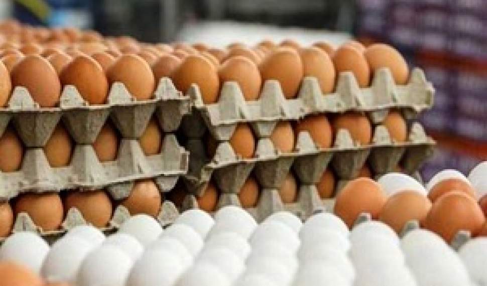 قیمت تخم مرغ در بازار مازندران به شانه‌ای 21 هزار تومان رسید