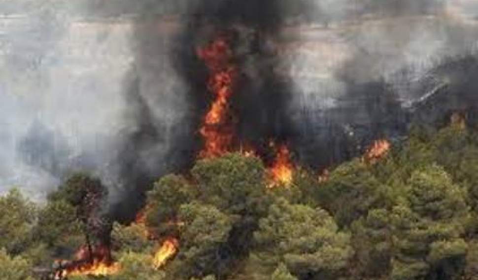 احتمال آتش‎‌سوزی در جنگل‌های مازندران/مسافران از روشن کردن آتش در جنگل‌ها خودداری کنند