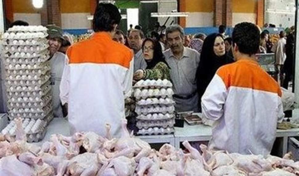 روی ناخوش قیمت مرغ به نرخ تنظیم بازار/مرغ در مازندران 17 هزار تومان!
