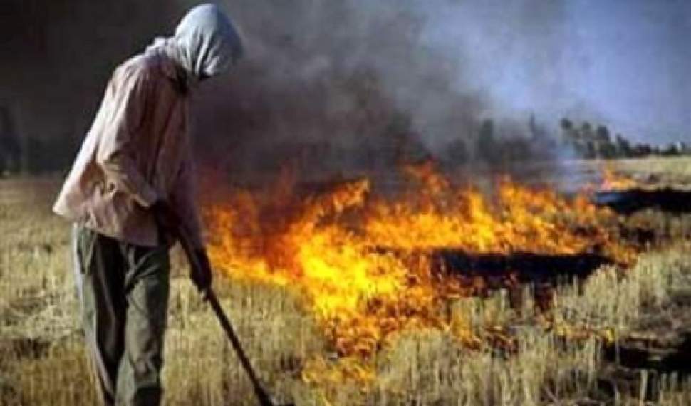 ممنوعیت قانونی سوزاندن کاه و کلش در مزارع/گشت‌ مشترک محیط زیست و جهاد کشاورزی آغاز شد