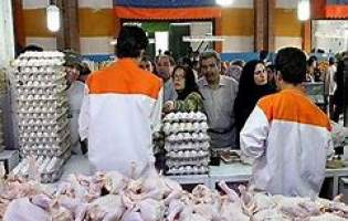 نوسانات بازار مرغ و وعده کاهش قیمت با افزایش جوجه‌ریزی
