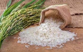 خرید حمایتی برنج مازاد شالیکاران به کجا رسید؟
