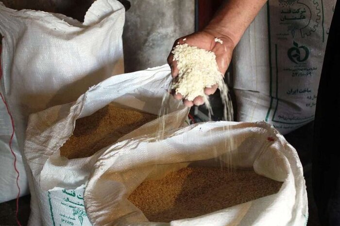 پرداخت ۵.۵ میلیارد تومان از مطالبات برنج‌کاران مازندرانی