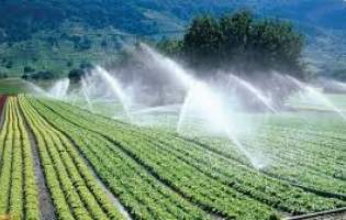 مصرف ۸۷ درصد آب شیرین کشور در حوزه کشاورزی