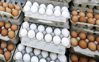 تخم‌مرغ گران‌تر از نرخ مصوب فروخته می‌شود