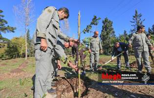 آغاز طرح سراسری کاشت درخت در مازندران