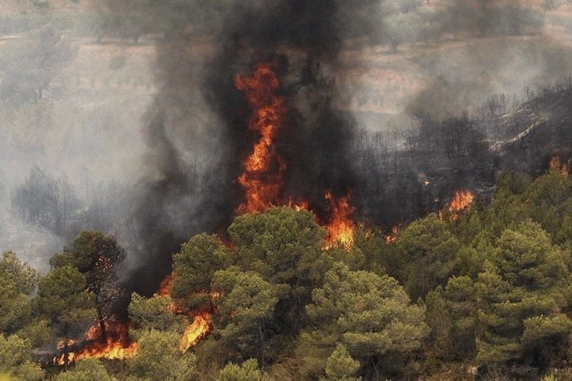 آتش‌سوزی ۱۰ هکتار از اراضی تا مهار موقت حریق