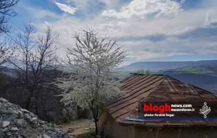 طبیعت بهاری هزارجریب شرق مازندران