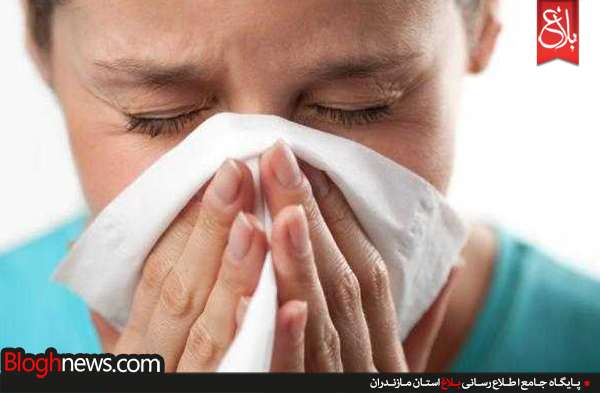 http://www.bloghnews.com/images/docs/files/000239/nf00239241-1.jpg
