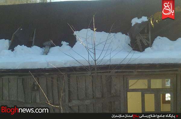 http://www.bloghnews.com/images/docs/files/000246/nf00246554-2.jpg