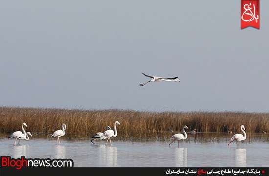 http://www.bloghnews.com/images/docs/files/000249/nf00249637-1.jpg