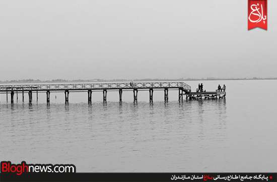 http://www.bloghnews.com/images/docs/files/000249/nf00249637-2.jpg