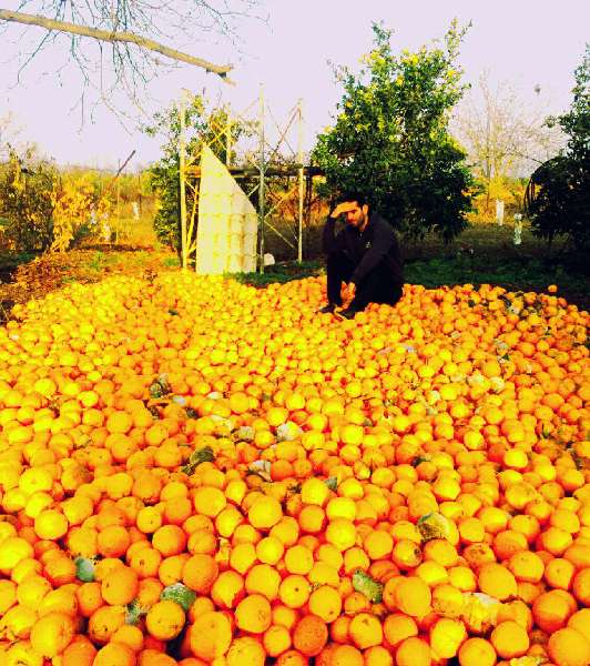 http://www.bloghnews.com/images/docs/files/000260/nf00260263-3.jpg