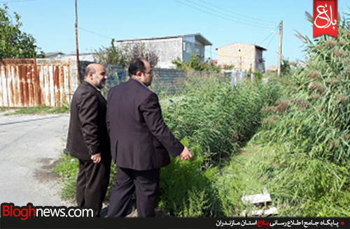 http://www.bloghnews.com/images/docs/files/000342/nf00342183-1.jpg