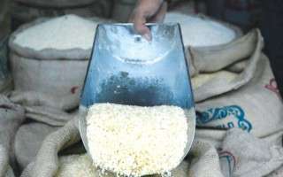 مسئول توزیع برنج‌های آلوده جهاد کشاورزی است