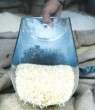 مسئول توزیع برنج‌های آلوده جهاد کشاورزی است