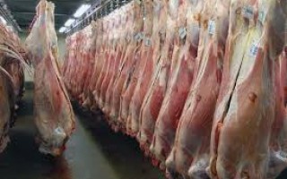افزایش 20 تا 30 درصدی قیمت گوشت قرمز