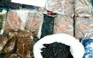 کشف 37 کیلوگرم انواع مواد مخدر در سوادکوه