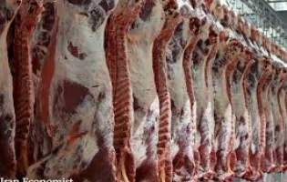 قیمت گوشت قرمز تا کیلویی 65 هزار تومان کاهش می‌یابد