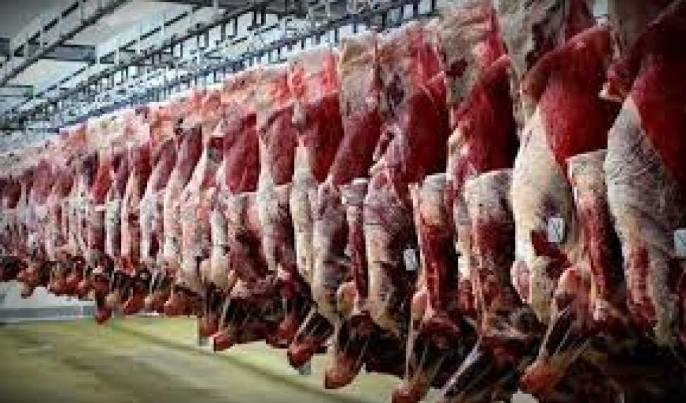 دلالان اجازه کاهش قیمت گوشت را نمی‌دهند کسی هم نظارتی ندارد