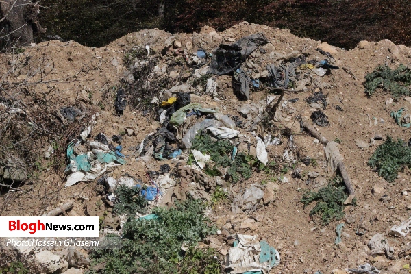 کوه زباله در دل جنگل‌های سوادکوه