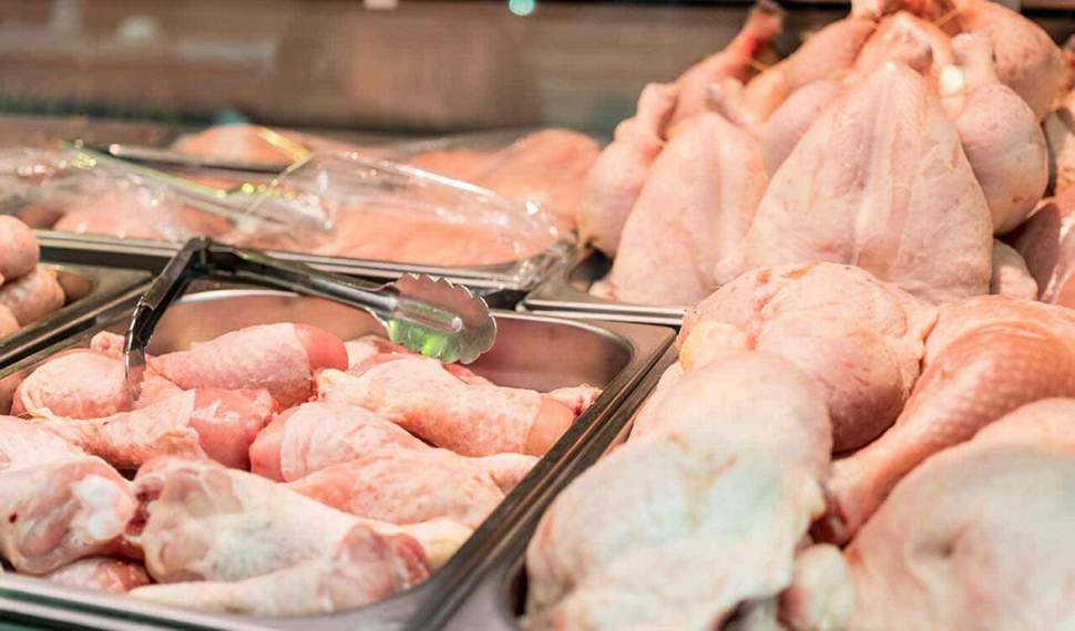 ادامه شیب نزولی قیمت مرغ در بازار مازندران/خرید تضمینی مرغ آغاز شد