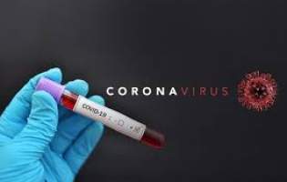 کارشناس اسپانیایی: ویروس کرونا توسط مأموران اطلاعاتی آمریکا به چین منتقل شد