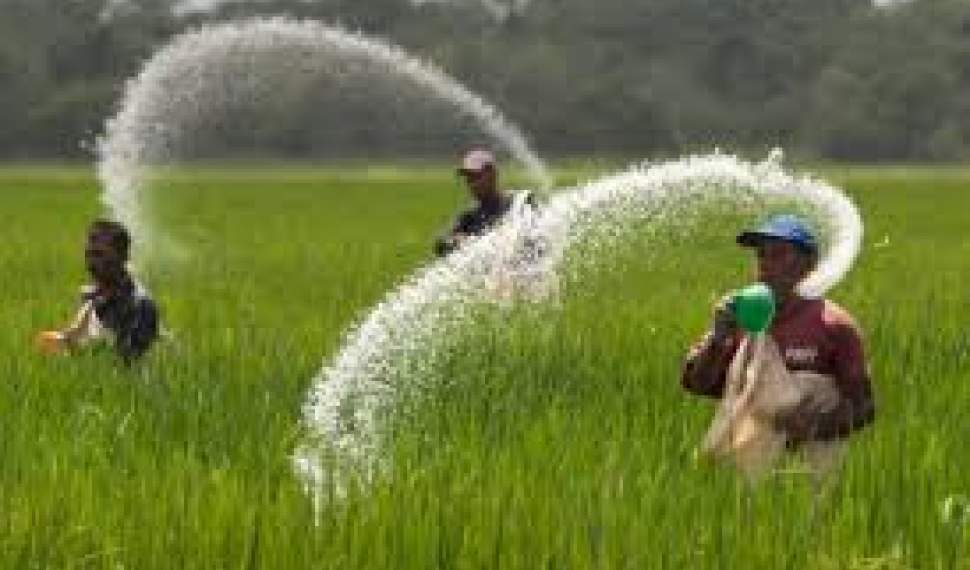 کشاورزان کود اوره را به 4 برابر قیمت می‌خرند