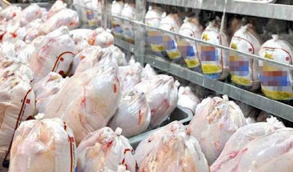 فاصله 5000 تومانی قیمت مرغ در مازندران با نرخ مصوب تنظیم بازار!/مردم تمایلی برای خرید مرغ دولتی ندارند
